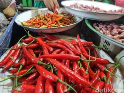 Harga Cabai Kian Melandai, Rawit Merah Rp 50.000/kg