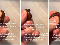 Duh! Pelanggan Ini Kecewa Beli Sekotak Kurma Ternyata Busuk Semua