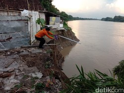 5 Rumah Warga Bojonegoro di Pinggir Bengawan Solo Terancam Longsor