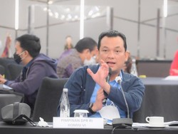NasDem Ungkap Paloh Tak Batasi Inisiatif Legislator soal Usulan RUU