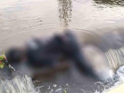 Mayat Korban Laka Lantas Ditemukan Tersangkut di Saluran Irigasi