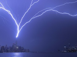 Pohon Bekas Tersambar Petir Hasilkan Mineral Baru, Apa Itu?