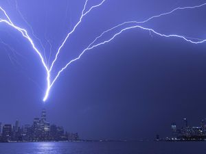 Pohon Bekas Tersambar Petir Hasilkan Mineral Baru, Apa Itu? Pohon Bekas Tersambar Petir Hasilkan Mineral Baru, Apa Itu?