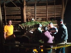 Petani Mojokerto Nekat Gantung Diri Gegara Terlilit Utang