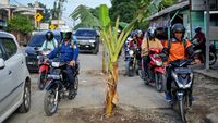 Kesal Tak Ada Perbaikan, Warga Tanam Pohon Pisang di Jalan Rusak