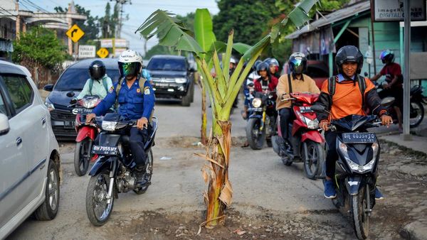 Kesal Tak Ada Perbaikan, Warga Tanam Pohon Pisang di Jalan Rusak
