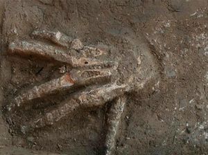 Temuan 12 Potongan Tangan Bukti Ada Upacara Mengerikan di Istana Mesir Kuno Temuan 12 Potongan Tangan Bukti Ada Upacara Mengerikan di Istana Mesir Kuno