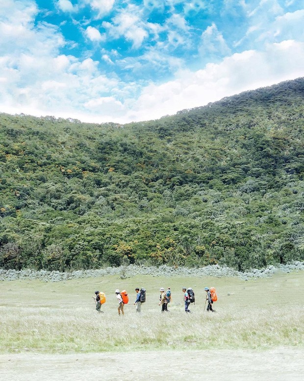 Wisata Gunung Gede Pangrango.