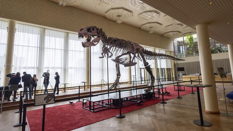 Fakta Baru T-rex: Pertumbuhan Raksasa Berlanjut Hingga Empat Dekade