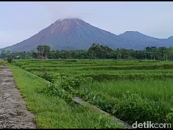 Muntahkan Lava Pijar Sejauh 2 Km ke Besuk Kobokan, Status Gunung Semeru Siaga