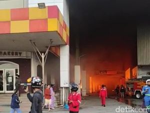 Kebakaran di Komplek Plaza Botania 1 Batam, Sejumlah Toko Ludes
