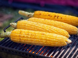 Konsumsi Rutin Jagung, Bisa Rasakan 5 Manfaat Sehat Ini