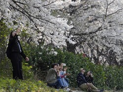 Asa Korsel Hadapi Krisis Populasi, Angka Kelahiran Mulai Naik