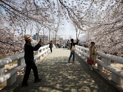 Cek Lagi Syarat dan Prosedur Bebas Visa ke Jepang...