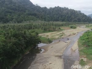 Liar dan Menantang! Taman Nasional Meru Betiri Hanya Untuk Petualang