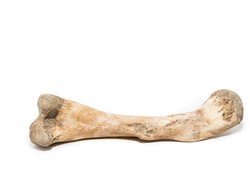 Ini Makanan dan Minuman Setan Menurut Hadits