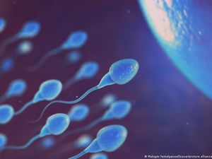 WHO: Satu dari Enam Orang Dewasa Alami Kemandulan