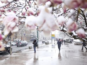 Brrr... Salju Musim Semi dan Angin Kencang Melanda Balkan Brrr... Salju Musim Semi dan Angin Kencang Melanda Balkan