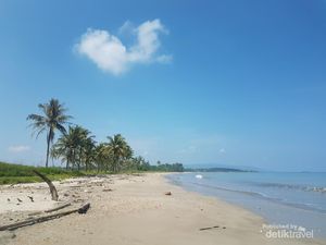 Rayuan Pulau Kelapa, Lirik Lagu Nasional Karya Ismail Marzuki dan Maknanya Rayuan Pulau Kelapa, Lirik Lagu Nasional Karya Ismail Marzuki dan Maknanya