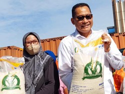 Bulog Teken Kerja Sama Impor  Beras 500 Ribu Ton dari 4 Negara, Mana Saja?