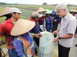 Jurus Ganjar Pranowo Ratakan Pembagian Pupuk Subsidi