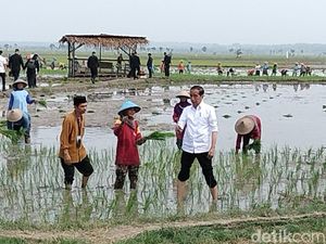 Jokowi Senang Harga Gabah di Petani Tuban Tinggi