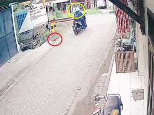Heboh Kemunculan Kucing Sebelum Biker Perempuan Tertabrak KA di Sidoarjo Heboh Kemunculan Kucing Sebelum Biker Perempuan Tertabrak KA di Sidoarjo