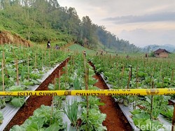 Pencarian Korban Slamet Dukun Banjarnegara Dihentikan Sementara, Ini Alasannya
