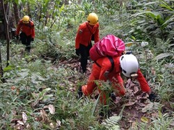 Lansia di Mamuju Hilang saat Cari Kemiri di Hutan, Basarnas Turun Tangan