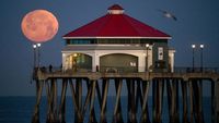 Melihat Fenomena Pink Moon di Langit Penjuru Dunia