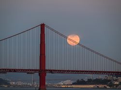 Massa Bela Palestina Blokir Jembatan Golden Gate San Francisco