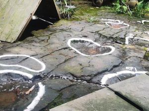 Ada Pengunjung Restoran Amati Lusinan Lubang di Tanah, Ternyata Jejak Dinosaurus