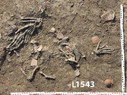 Selusin Potongan Tangan Korban Mutilasi Zaman Dulu Ditemukan