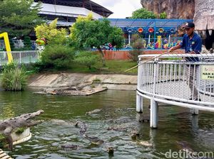 Predator Fun Park Kota Batu Akan Tutup Besok Predator Fun Park Kota Batu Akan Tutup Besok
