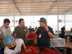 Budi Daya di Screen House Disebut Bisa Bantu Jaga Pasokan Sayuran