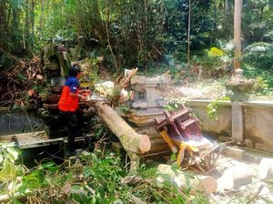 Tertimpa Pohon Tumbang, Tiga Palinggih Pura Taman Sari Rusak