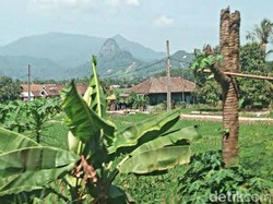 Cuan Manis Tambang Emas Ilegal di Gunung Sanggabuana