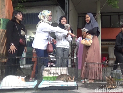 Menengok Ngabuburit ala Komunitas Pecinta Kucing di Lumajang