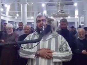 Gemasnya Kucing di Pundak Imam Salat, RK Kunjungi Rumah Viral Gemasnya Kucing di Pundak Imam Salat, RK Kunjungi Rumah Viral
