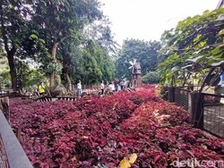 Long Weekend di Tengah Ramadan, Kunjungan Wisatawan ke Lembang Sepi