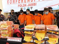 Selama 3 Bulan, Polisi Tangkap 399 Pelaku Narkoba di Jambi