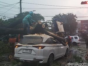 Hujan Angin, 3 Kendaraan di Surabaya Tertimpa Pohon Tumbang
