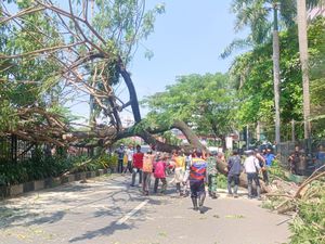 Brak! Tak Ada Hujan dan Angin, Pohon Tumbang Timpa 3 Orang di DTC Wonokromo