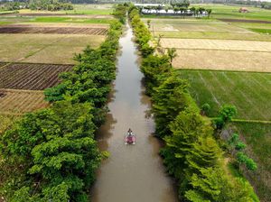 Berkunjung ke Wisata Irigasi Persawahan di Nganjuk