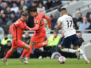 Badan Wasit Premier League Minta Maaf Tak Beri Penalti ke Brighton