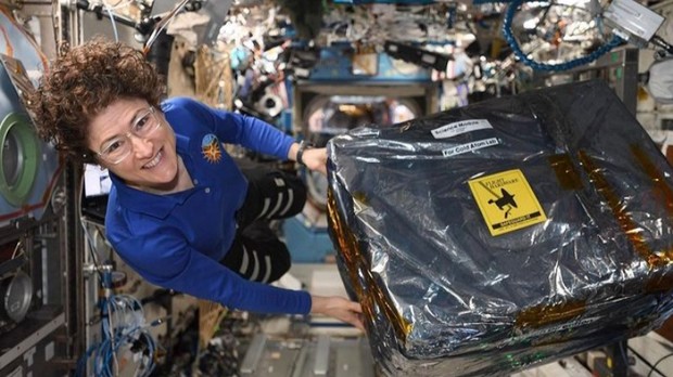 Christina Hammock Koch, perempuan pertama yang terbang mengelilingi bulan