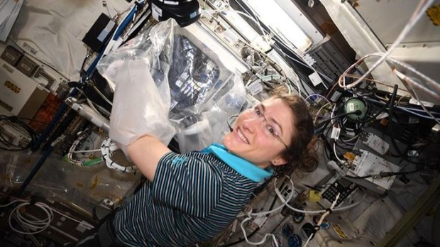Christina Hammock Koch, perempuan pertama yang terbang mengelilingi bulan