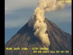 Gunung Semeru Luncurkan Guguran Awan Panas Sejauh 1,5 Km