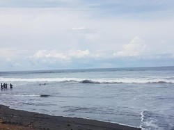 Terkendala Air Pasang, Proses Nekropsi Paus Mati Tertunda