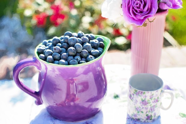 Blueberry. Foto: Pexels.com/Jill Wellington
